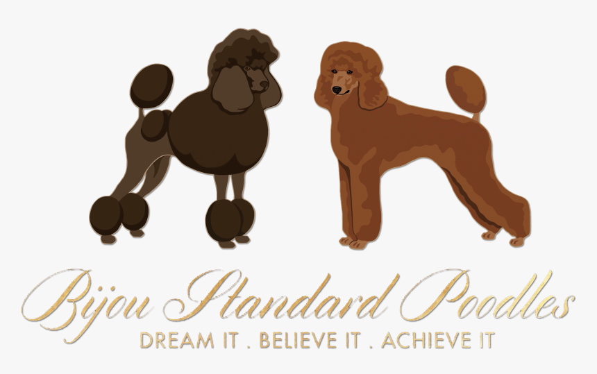 Transparent Bandera Mexico Png - Poodle Logo, Png Download