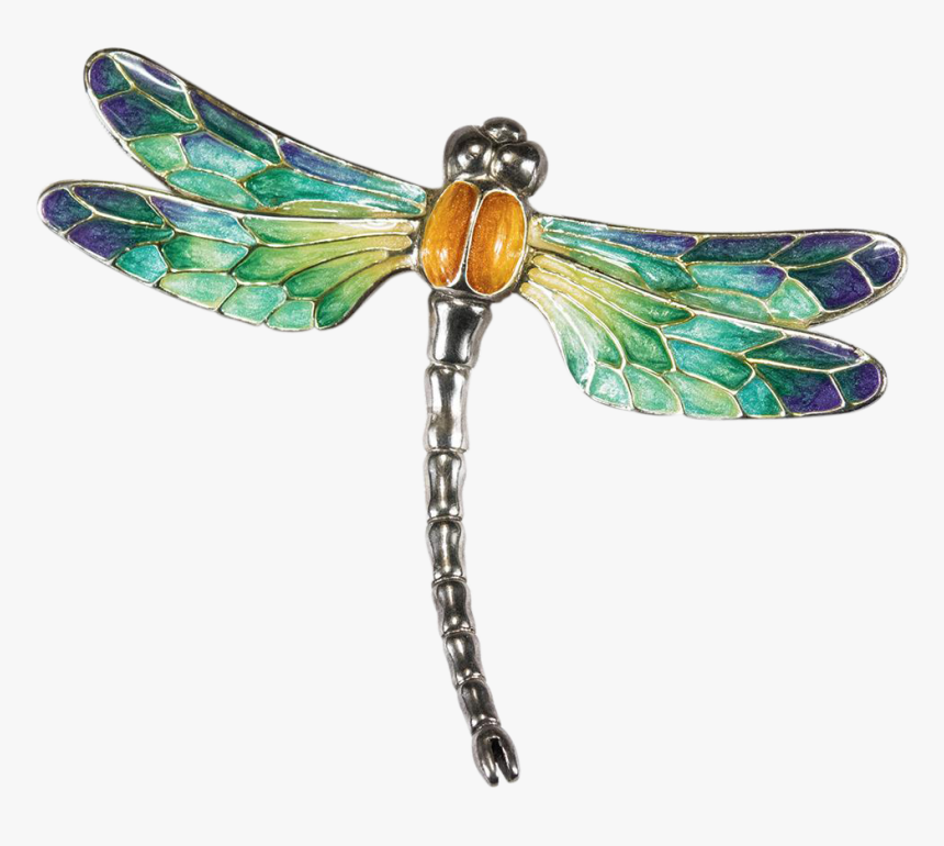 Dragonfly Png - Transparent Background Transparent Dragonfly, Png Download