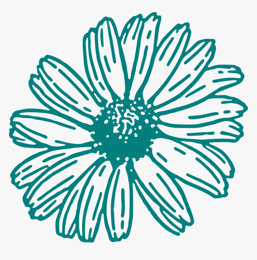 White Outline Flower Clipart, HD Png Download