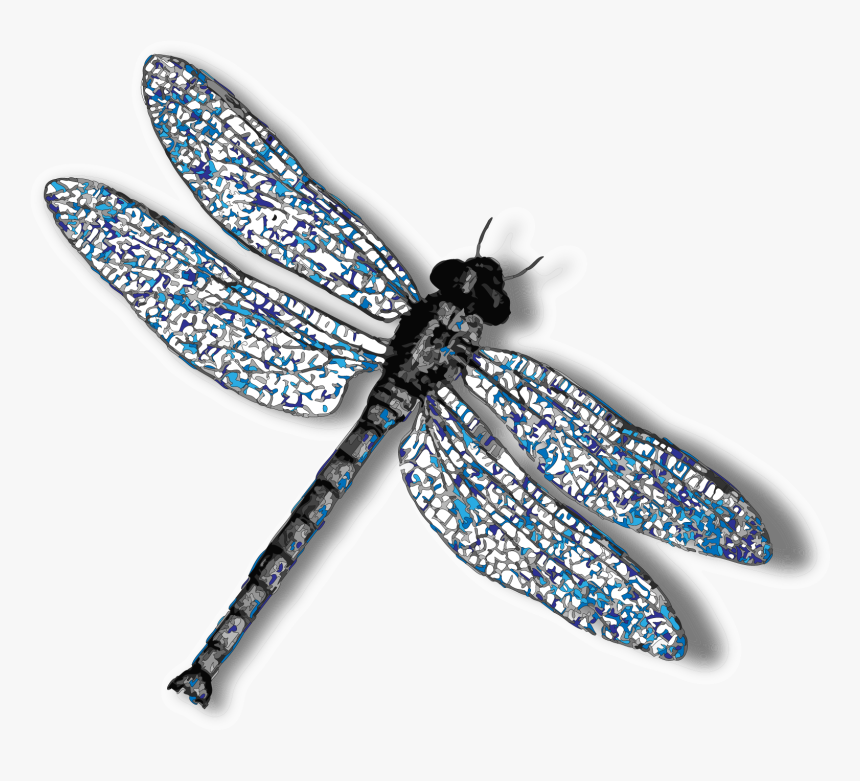 Download Dragonfly Png Background Image - Transparent Background Dragonfly Transparent, Png Download