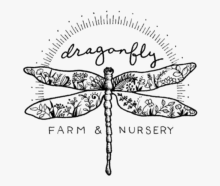 Dragonfly In Text, HD Png Download