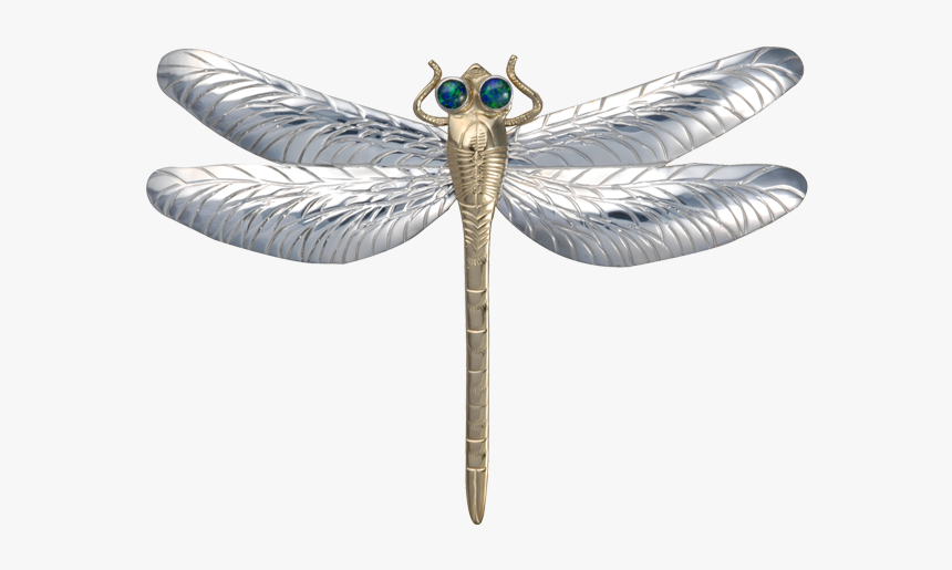 Damselfly, HD Png Download