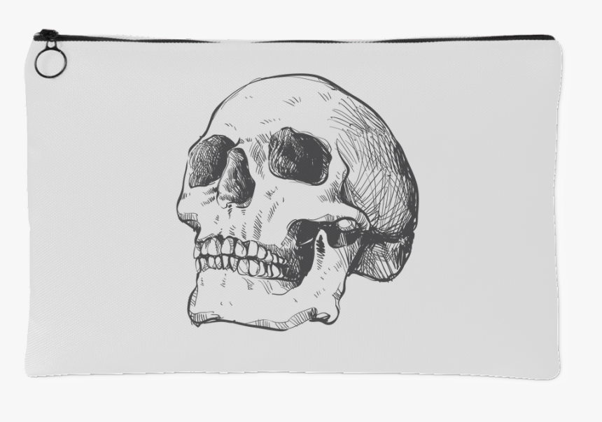 Hand Drawn Anatomical Human Skull, HD Png Download