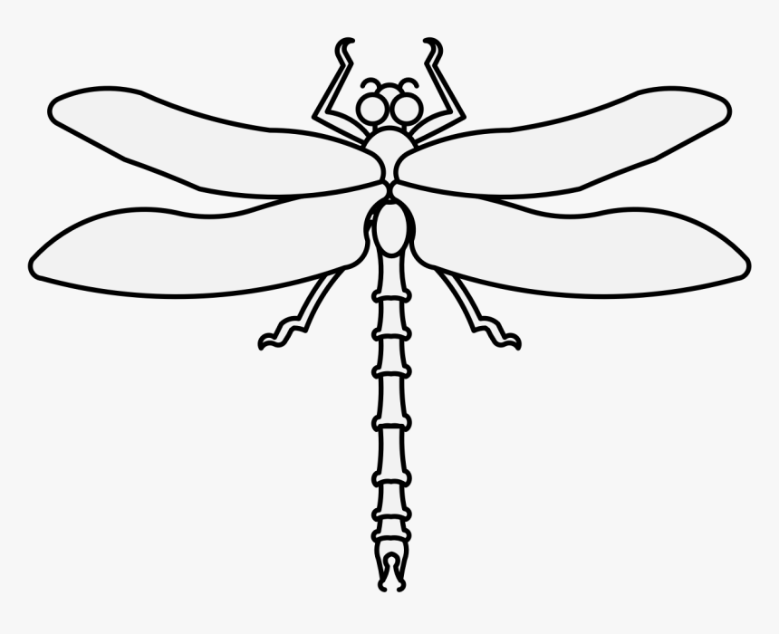 Dragonfly Pdf, HD Png Download