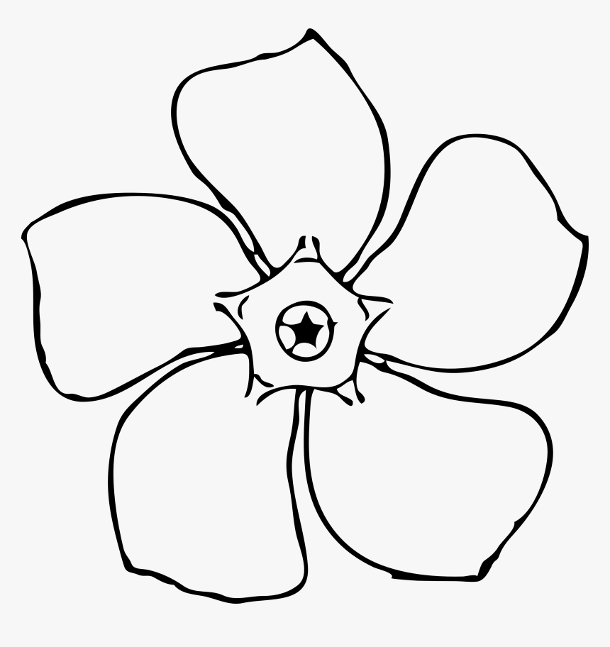 Images For Magnolia Flower - Jasmine Clipart Black And White, HD Png Download