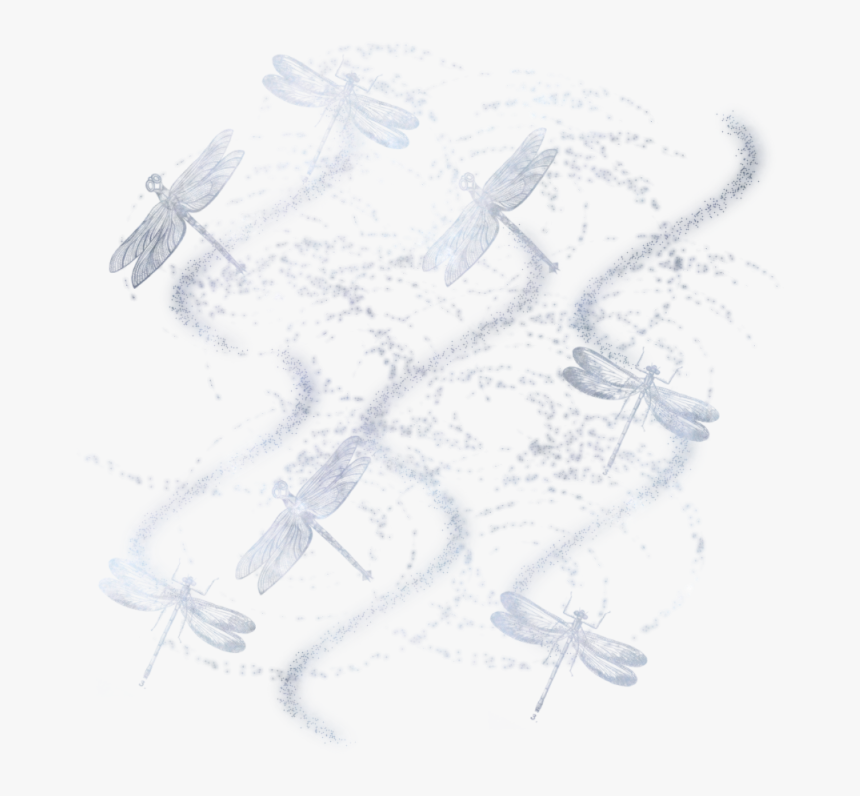 Dragonfly Masked Texture 800 X - Sketch, HD Png Download