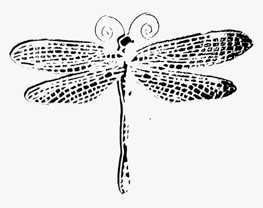Dragonfly Clipart Purple - Black And White Dragonfly Drawing, HD Png Download