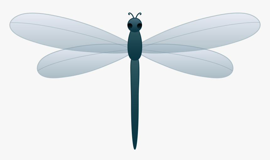 Download Dragonfly Png Transparent Picture For Designing - Dragonfly Clipart Png, Png Download