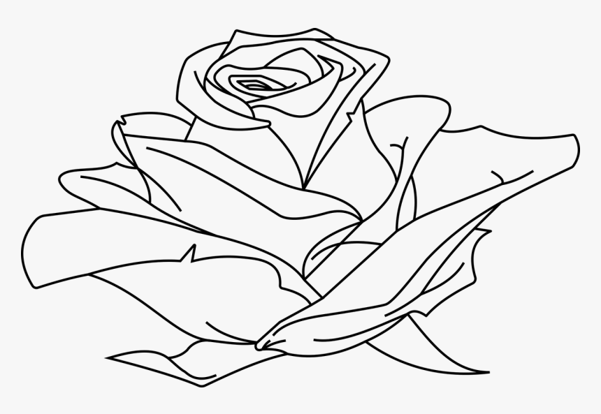 Line Art Drawing Clip Art - Line Art Rose In Line Drawing, HD Png Download
