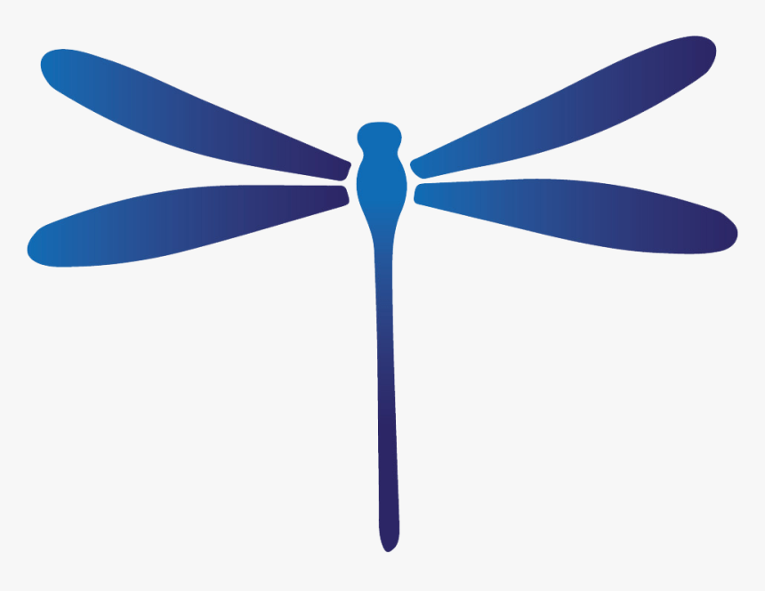 Damselfly, HD Png Download