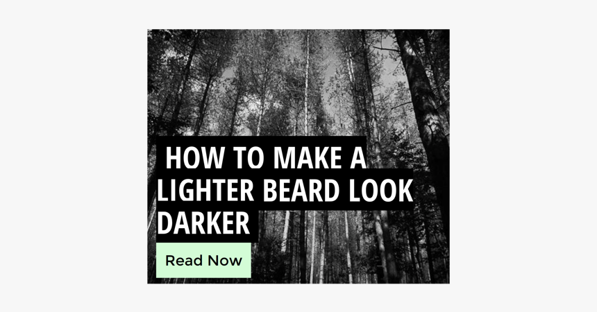 Beard Darkening 
 Style Max Width - Willow, HD Png Download