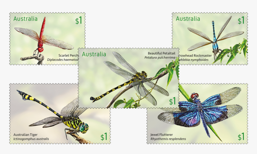 Australia Post Dragonfly Stamps, HD Png Download
