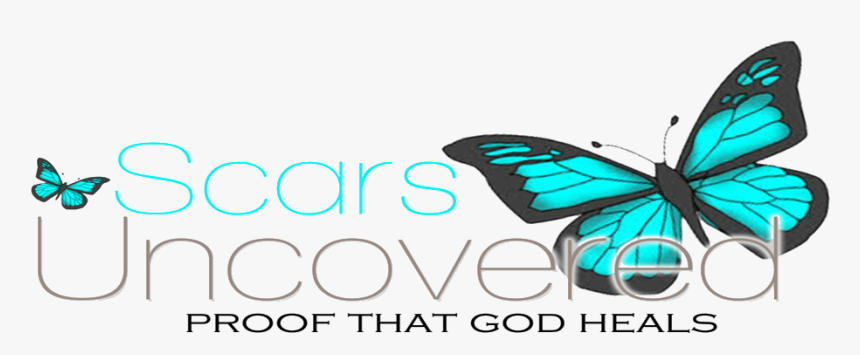 Lycaenid, HD Png Download