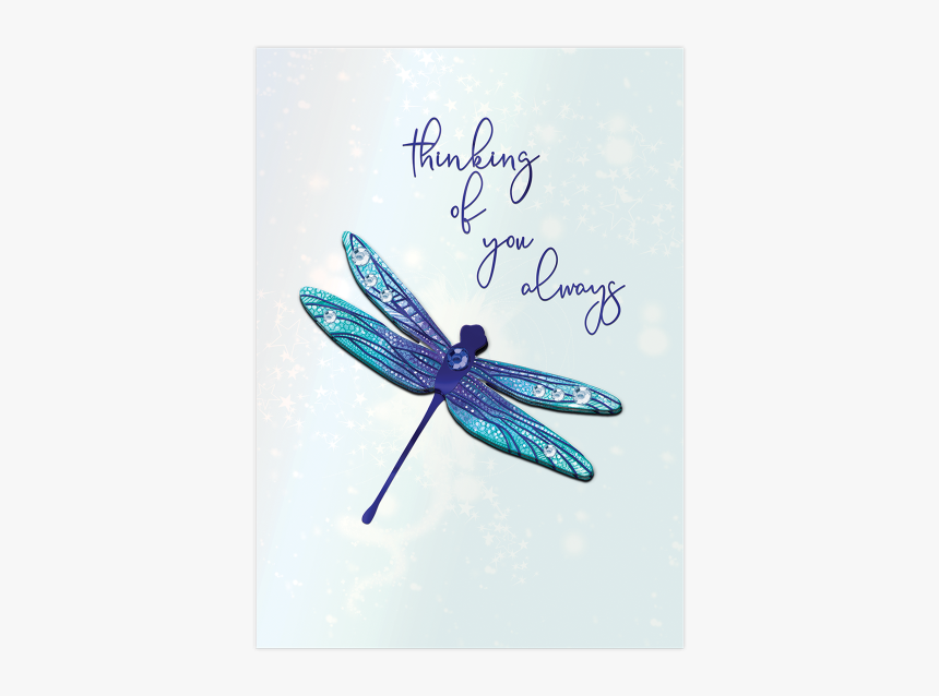 Dragonfly, HD Png Download