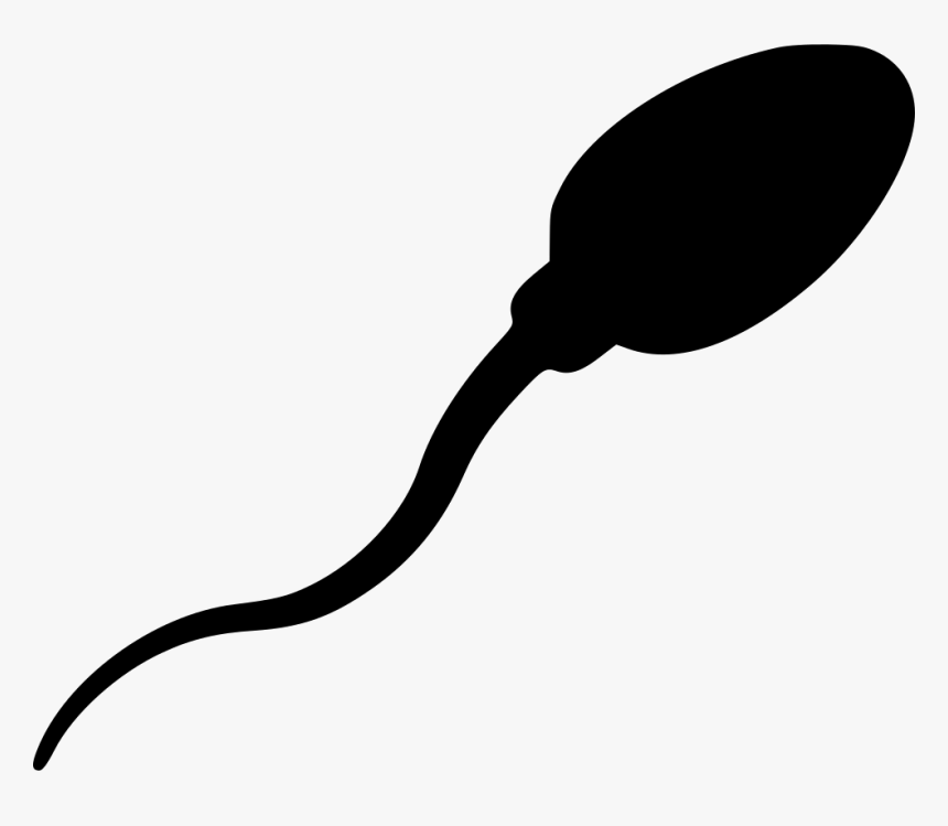 Sperm - Sperm Vector Png, Transparent Png
