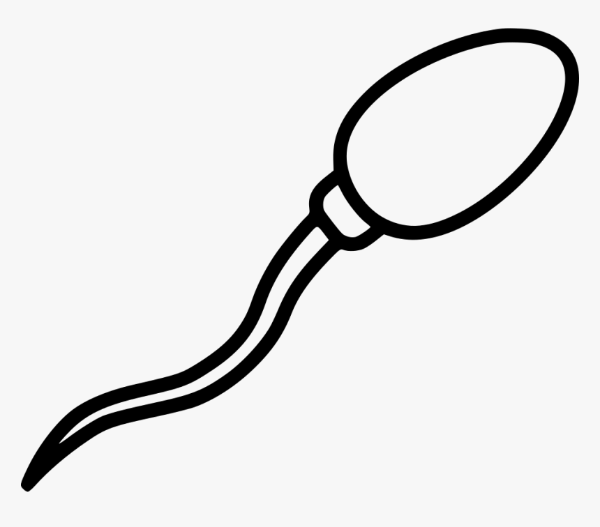 Espermatozoide Para Colorear