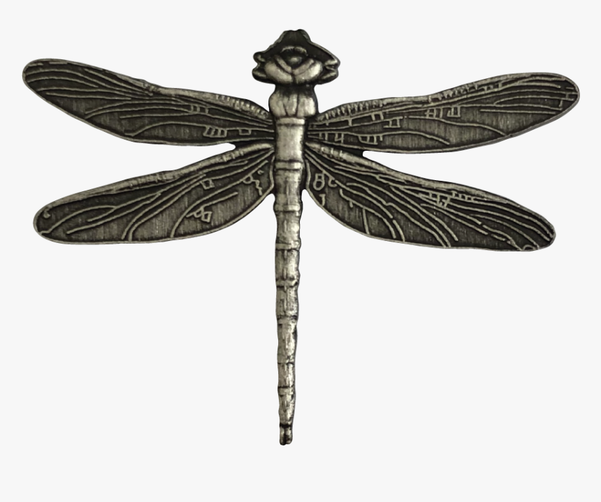 Hawker Dragonflies, HD Png Download