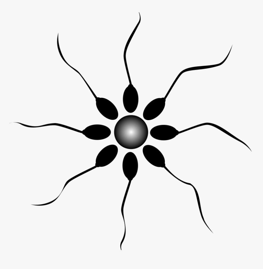 Securities Board Of Nepal, HD Png Download