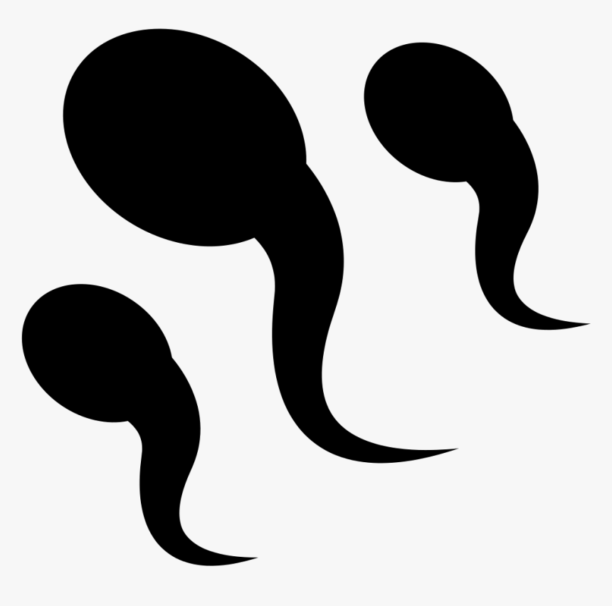 Sperm - Sperm Vector Png, Transparent Png