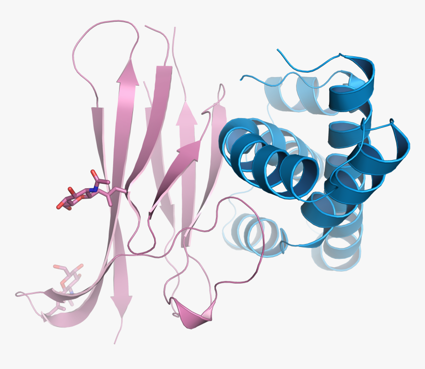 Sperm Png - Crystal Structure - Clip Art, Transparent Png