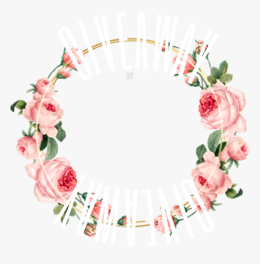 #sticker #circle #circleframe #png #roses #giveaway - Hybrid Tea Rose, Transparent Png