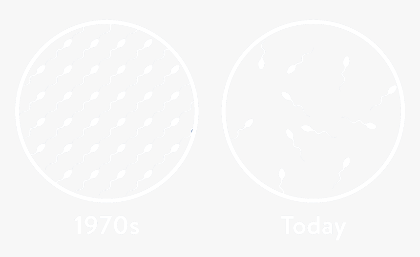 Beige, HD Png Download