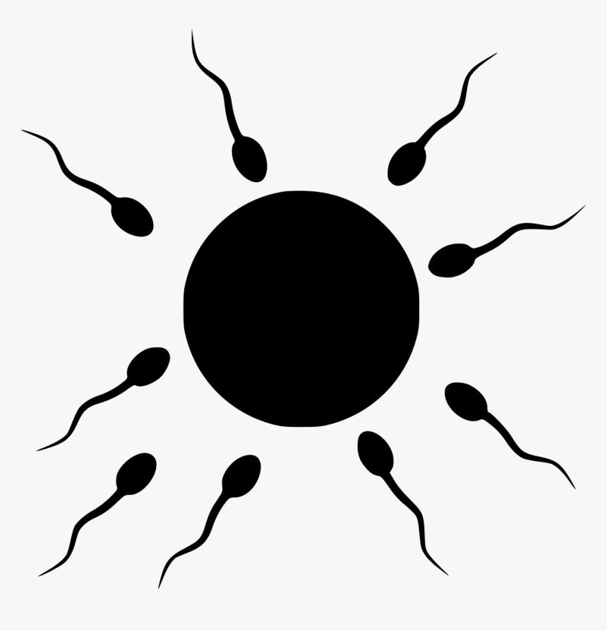 Sperm And Egg Clipart, HD Png Download