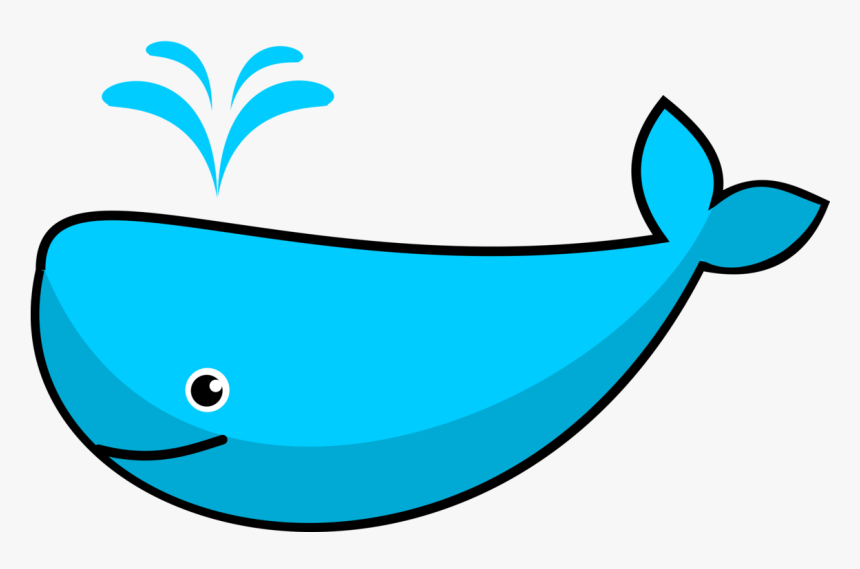Leaf,area,fish - Blue Whale Clipart, HD Png Download