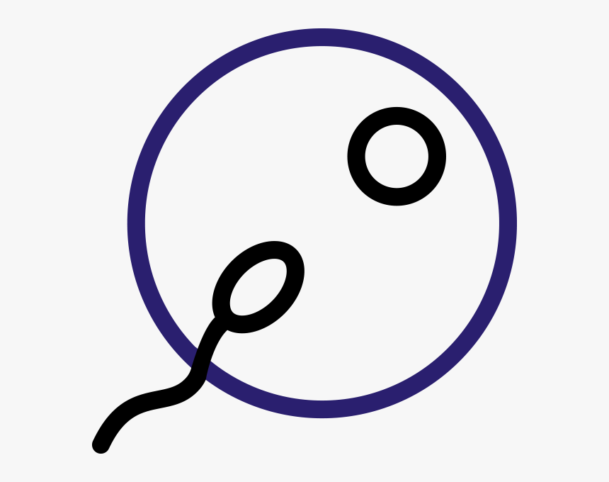 Intracytoplasmic Sperm Injection Icon, HD Png Download