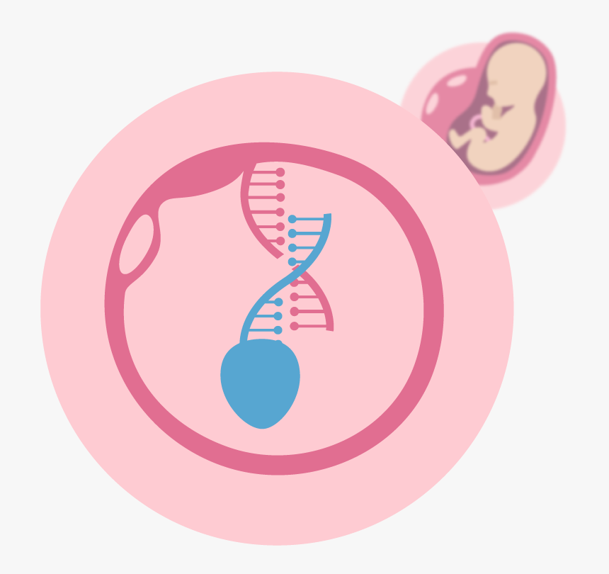 Circle, HD Png Download