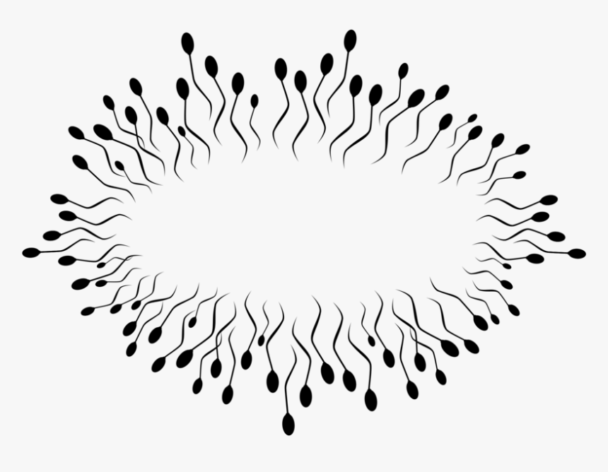 Line Art,symmetry,monochrome Photography - Espermatozoides Png, Transparent Png