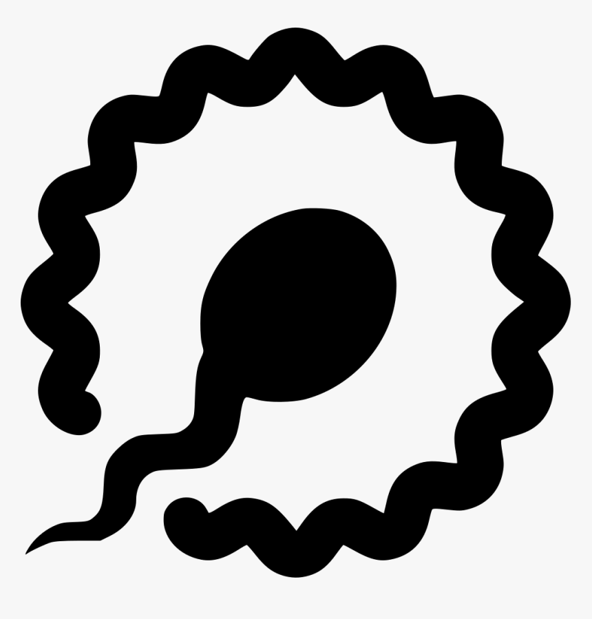 Fertilization Sperm Ovum Comments - Victoria College Of Education, HD Png Download