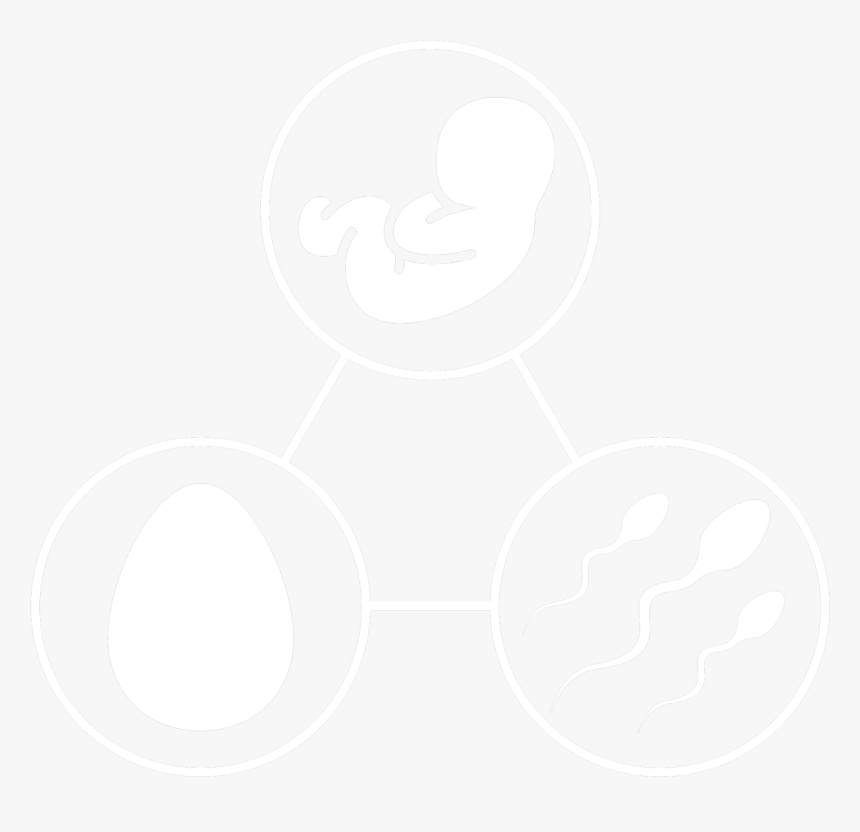 Circle, HD Png Download