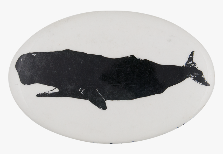 Greenpeace Sperm Whale Cause Button Museum - Manatee, HD Png Download