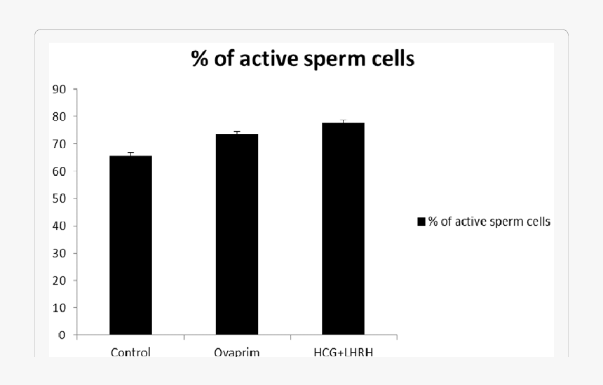 Plot, HD Png Download