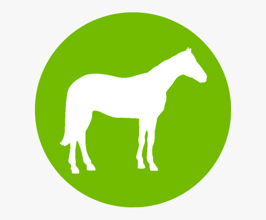 Sperm Marker - Mare, HD Png Download