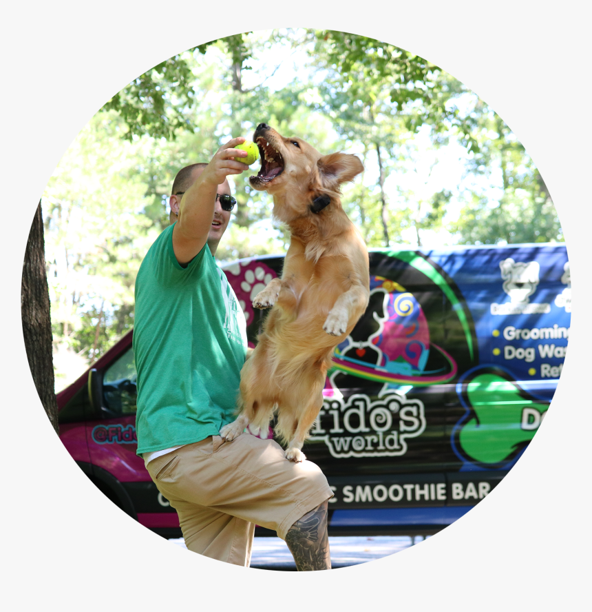 Dog Catches Something, HD Png Download