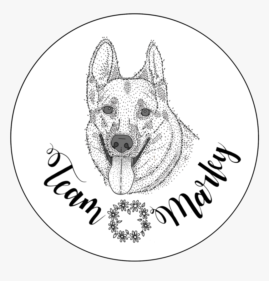 Kishu, HD Png Download