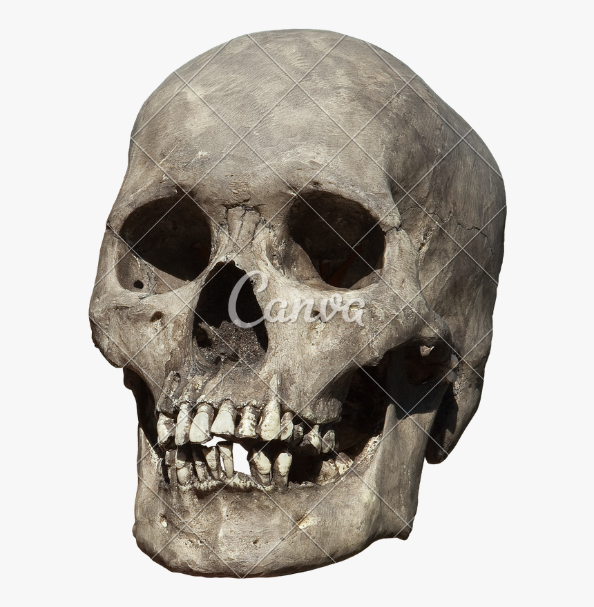 Clip Art Old Weathered Photos By - Old Human Skull Png, Transparent Png