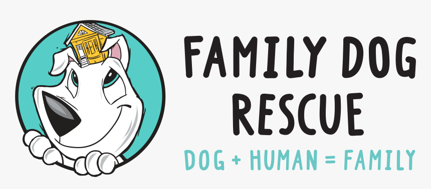 Cute Cartoon Animal Faces, HD Png Download