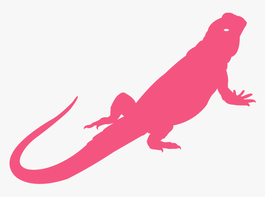 Silhouette Bearded Dragon Outline, HD Png Download