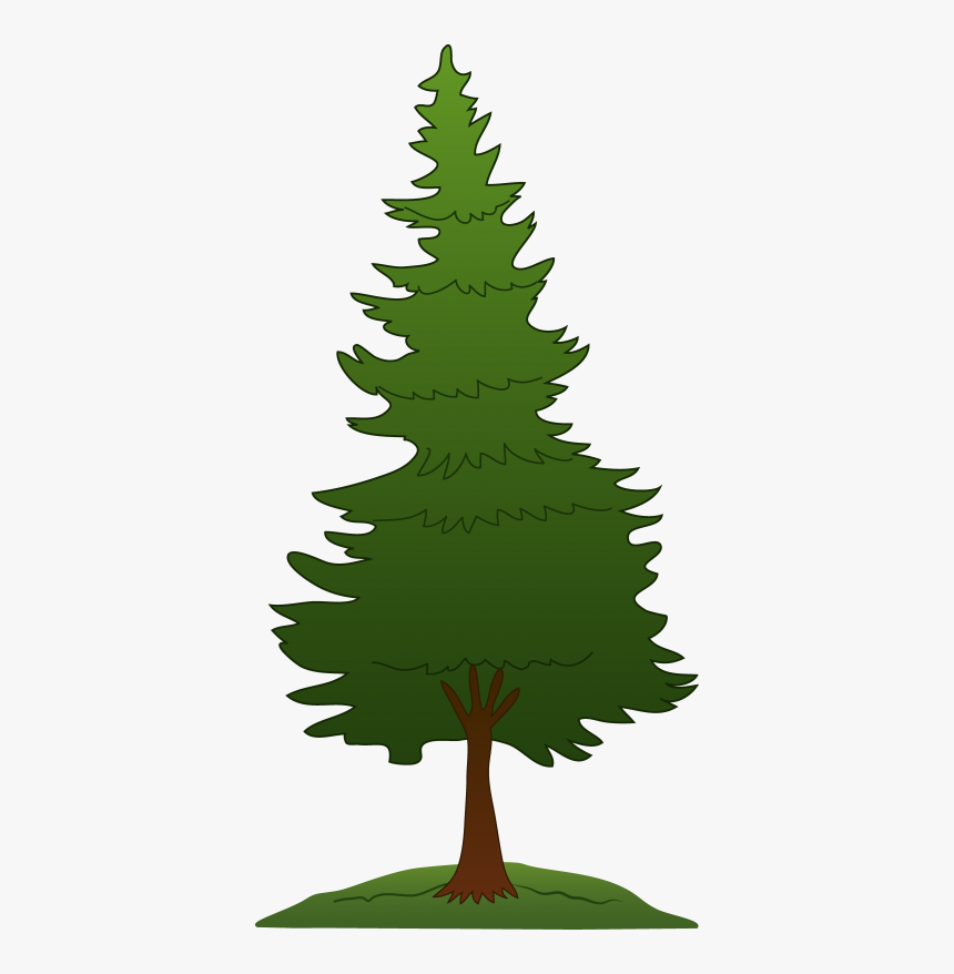 Background Pine Tree 20 Png Images - Pine Tree Clipart Png, Transparent Png