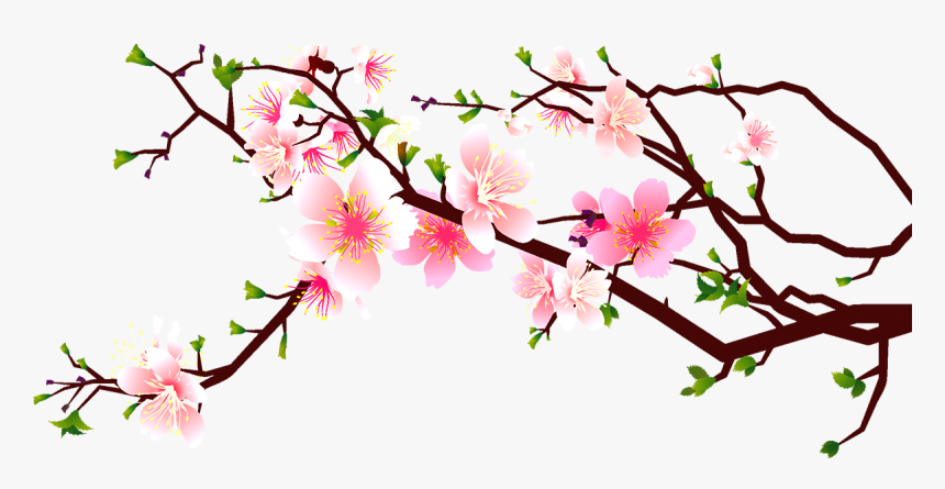 Cherry Blossom Peach Clip Art Decoration - Cherry Blossom Transparent Clipart, HD Png Download