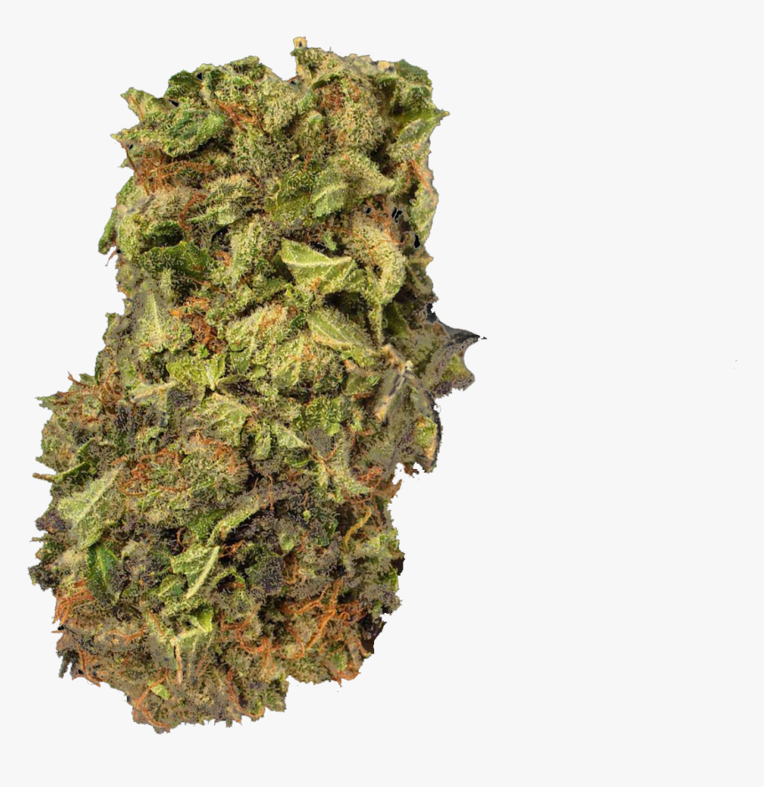Kush Medical Cannabis Cannabis Sativa Project Mkultra - Kush Png, Transparent Png