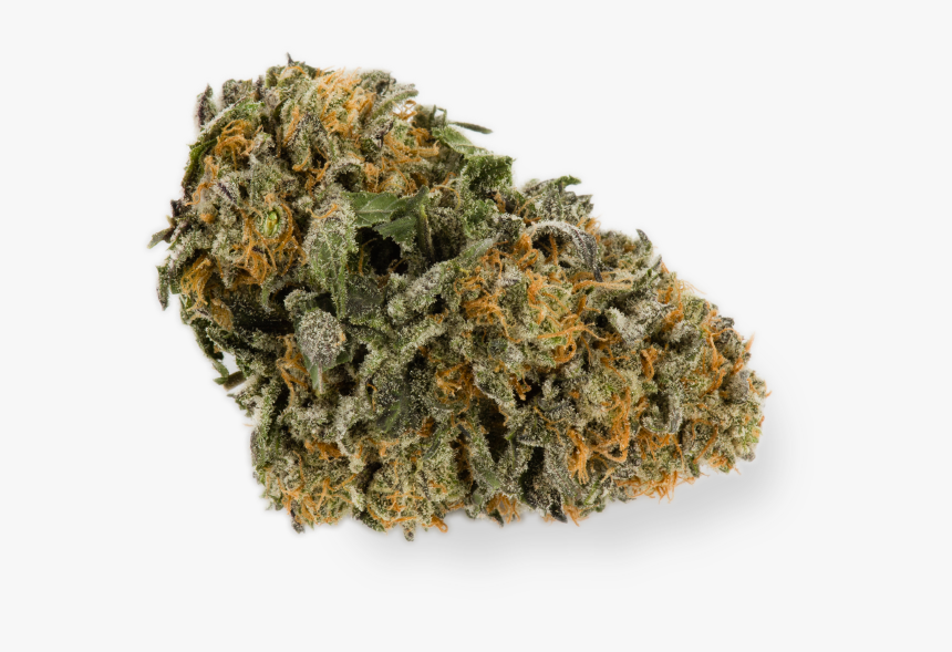 Sour Lemon Sour Diesel - Camouflage, HD Png Download
