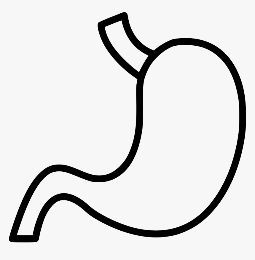 Svg Png Icon Free - Stomach Free Png Download, Transparent Png