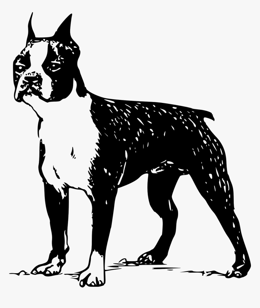 Clipart Boston Terrier Silhouette, HD Png Download