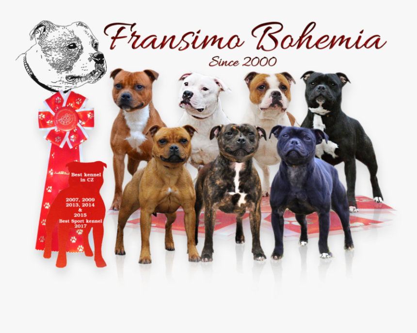 Boxer, HD Png Download