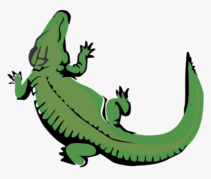 Alligator Vector Clip Art - Gator Clip Art, HD Png Download