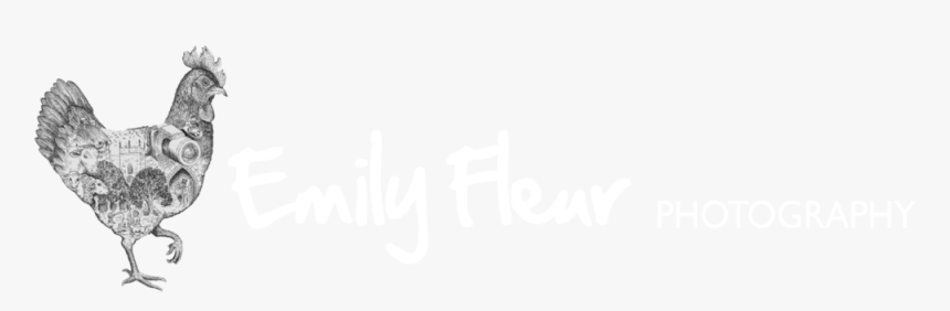 Devon Wedding Photographer - Pattern, HD Png Download